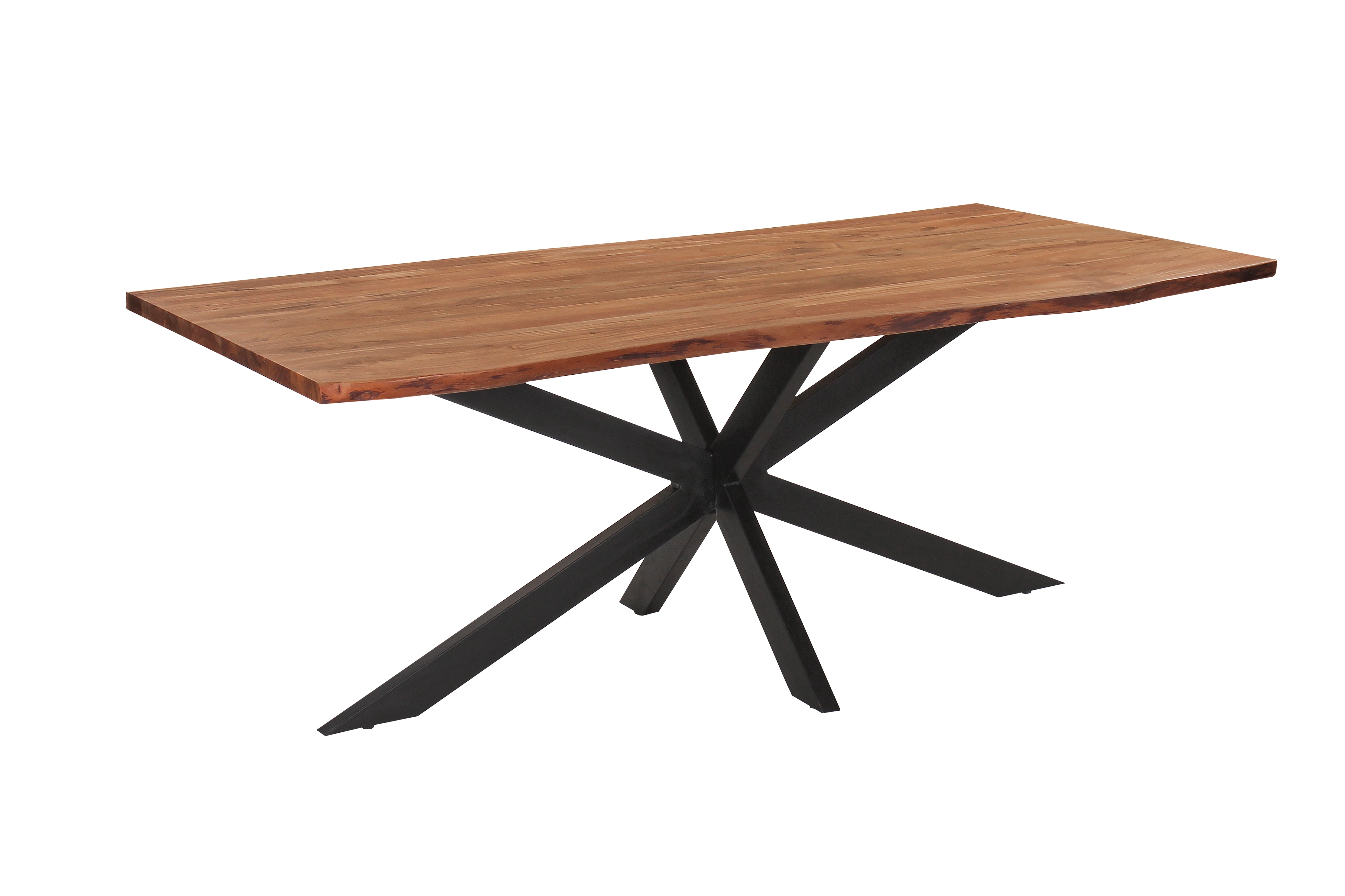 Table Repas Martin 200x100xH76cm